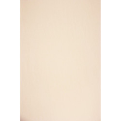 Bavlněný úplet oboulíc - béžová světlá