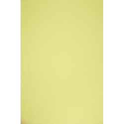 Bavlněný úplet oboulíc - limetka