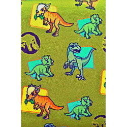 Jednolíc s licenčním potiskem - Dinosauři zelená