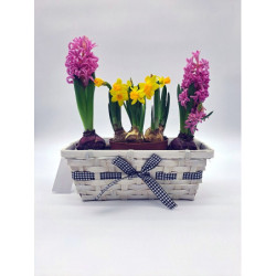 Košík aranžovací s vystýlkou