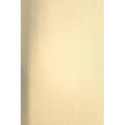 Bavlněný úplet jednolíc - meruňková světlá